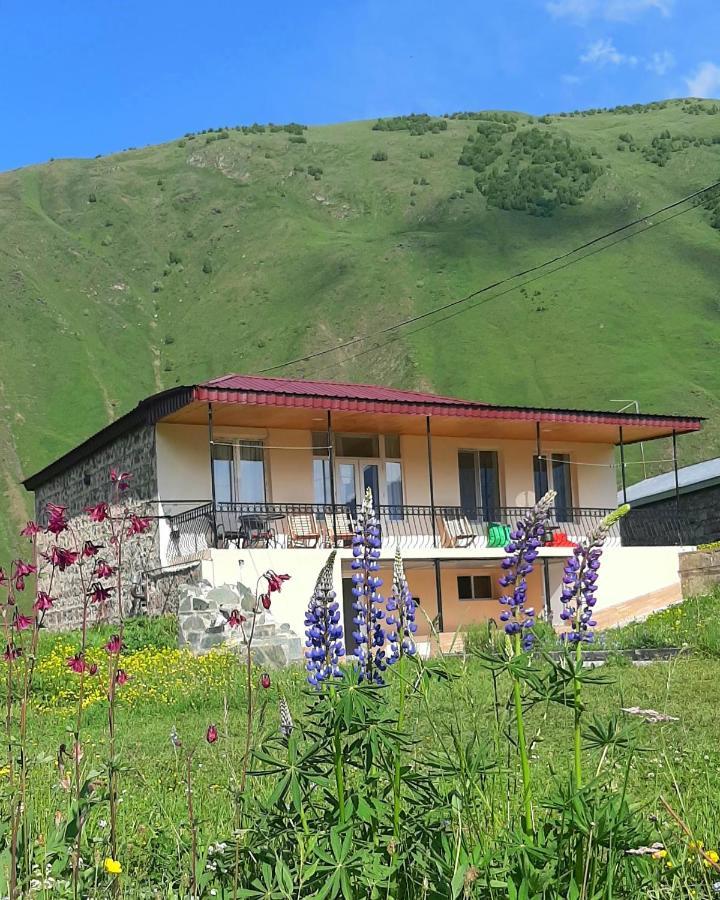 Cozy Hotel Kazbegi Екстериор снимка